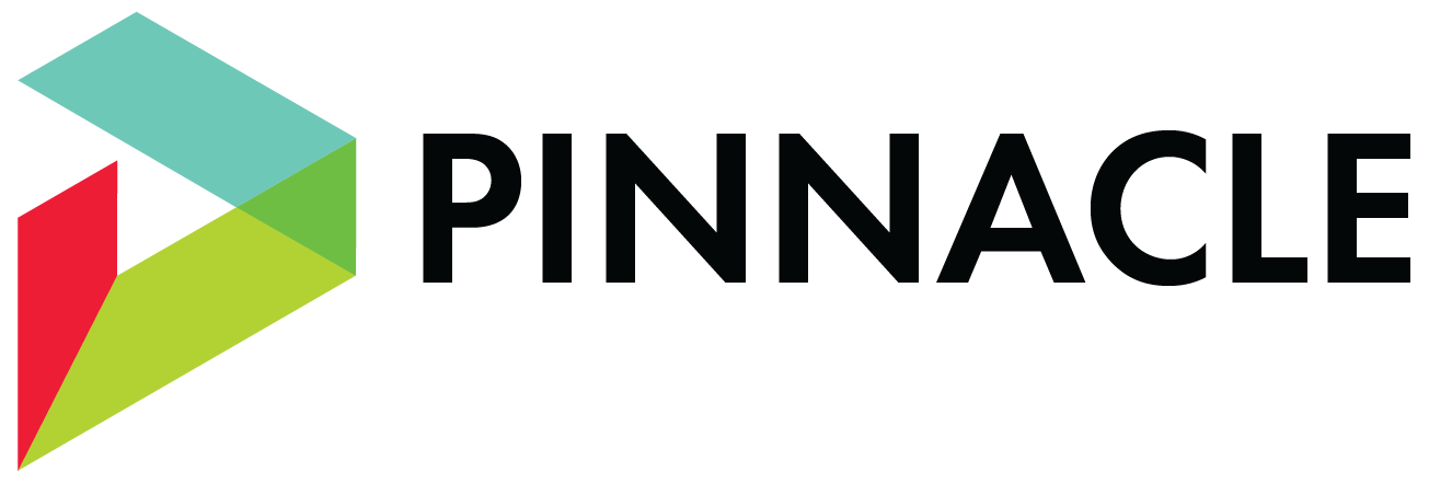 1000 Pinnacle Asset Integrity Services, LLC logo